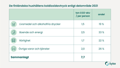 De finländska hushållens koldioxidavtryck enligt delområde 2021