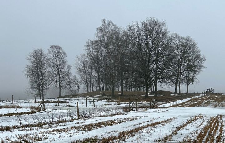 Både på landsbygden och i städerna nämns olika naturmål ofta när människor ombeds beskriva sin vardagsmiljö. Bilden visar åkerlandskap i Vik i Helsingfors.