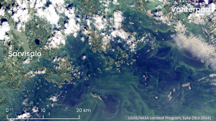 Alt text: "Satellite image showing surface algae blooms in the coastal area between Porvoo and Kotka, taken on 18 June 2024."