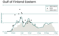 Alt text: "Graph titled 'Gulf of Finland Eastern' showing blue-green algae observations from 2009 to 2023. The y-axis represents the algae barometer with values from 0 (no algae) to 3 (definite algae), and the x-axis lists dates from 15 June to 1 September. The graph includes data points for 2023, 2024, and a shaded region for 2009-2023 averages."