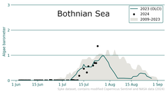 Graph depicting blue-green algae levels in the Bothnian Sea from June to September. The 2024 levels (line) are predicted to exceed both 2023 (line) and the 2009-2023 average (shaded area). Data points range from no algae (0) to definite algae (3).