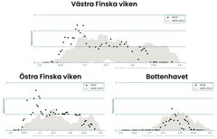 Diagram som visar satellitobservationer av cyanobakterier i öppna havsområden i östra Finska viken, västra Finska viken och Bottenhavet under sommaren 2024. Grått område representerar tidigare års data (2009-2023) exklusive extrema observationer. Punkterna visar dagliga observationer, graderade från 0 (inga) till 3 (säkert).