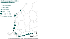 Merimetsojen pesien määrä rannikkoalueilla 2024.