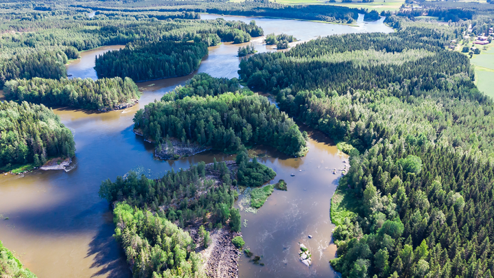 Ilmakuva Kymijoen Ahvionkoskista. Kuvassa näkyy monimuotoinen vesiuomien ja metsäisten saarten muodostama sokkelo.