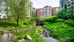 Kuvassa kaupunkikosteikko.