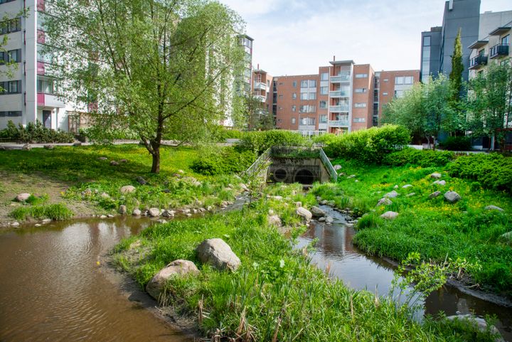 I tillväxtcentra som huvudstadsregionen och Tammerfors har närgrönskan minskat kraftigt sedan 2000-talet. Förtätningen bör dock inte leda till försämrad biologisk mångfald eller invånarnas välbefinnande.