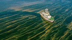 Research vessel Aranda´s route is clearly visible as the boat crosses algae rafts in the Baltic Sea in August 2022.