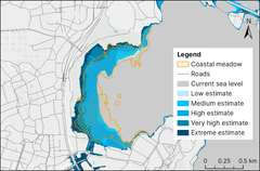 The coastal meadow at Laajalahti in Espoo is in danger of being completely submerged by the year 2100 due to sea level rise. In this location, roads and other urban infrastructure prevent the meadow from shifting inland.