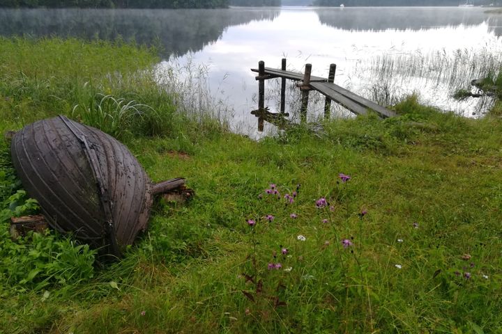 The misty shore of Lake Saimaa