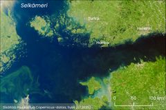 Sateliittihavainto sinilevästä Syke Tarkka-palvelussa: Helsinki, Hanko, Turku, Selkämeri.