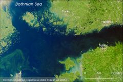 Satellite observation of blue-green algae in the Syke Tarkka service: Helsinki, Turku, Tallinn, Bothnian Sea