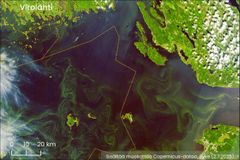 Satellite observation of blue-green algae in Syke's Tarkka service.