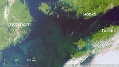 Satellite photo: Hanko, Tallinn, Stockholm