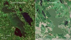 Satellite images: Suuri-Onkamo and Kevätön