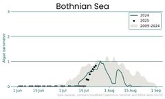 Blue-green algae barometer of the Bothnian Sea