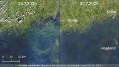 Satellitbild: Östra Finska viken