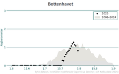Cyanobakteriebarometern för för Bottenhavet