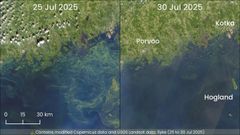 Satellite image: Eastern Gulf of Finland