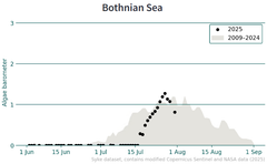 Blue-green algae barometer: Bothnian Sea