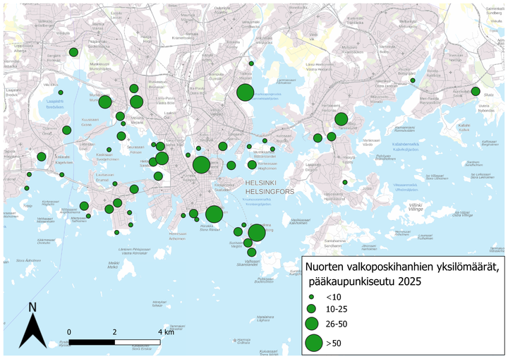 Nuorten%20valkoposkihanhien%20yksil%F6m%E4%E4r%E4t%20p%E4%E4kaupunkiseudulla%202025.%20Kuva%3A%20Syke