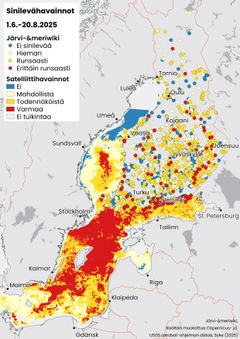 Kartta: yhteenveto havainnoista