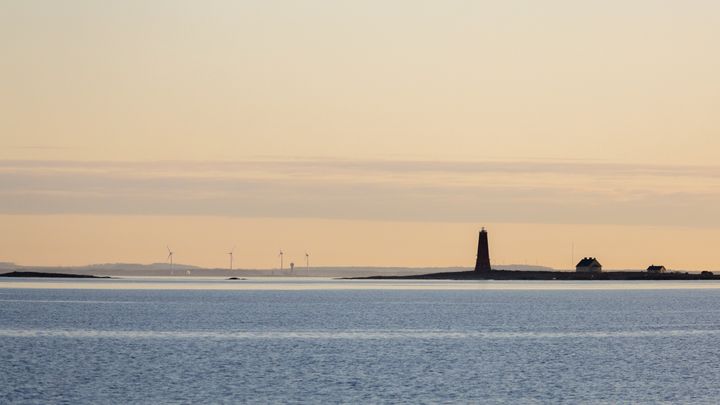 Sammandrag av den riksomfattande uppföljningen av cyanobakterier juni–augusti 2025
