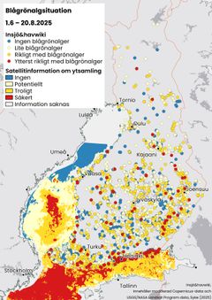Sammandrag karta av observationerna