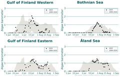 Blue-green algae barometers on Tarkka service