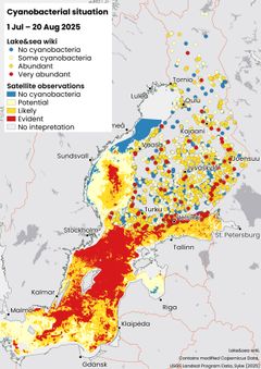 Map: summary of observations