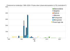 Till följd av det dåliga syreläget finns det knappt med bottendjur i Finska viken. Bottendjursamhället kunde återhämta sig senast i början av 1990-talet. I grafen har de år då bottenfaunaprover inte har tagits märkts ut med gula kilar.
