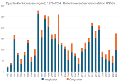 I Bottenhavet har djurplanktonbiomassan varierat, men ingen alarmerande reducering av den sammanlagda biomassan har noterats. Djurplanktonbiomassan har analyserats i hela vattenpelaren. Av djurplanktonen hör små arter, till exempel hjuldjur och vattenloppor, till gruppen Övriga arter.