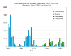 The benthic community in the Bothnian Sea has changed in the 2000s. The natural Monoporeia affinis cycles have declined, and the invasive alien species Marenzelleria spp. has become established in the area.