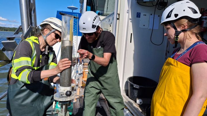 Sampling during the coastal monitoring cruise 11th August 2025.