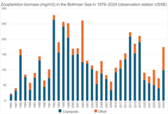 While zooplankton biomass has varied in the Bothnian Sea, no alarming drop in total biomass has been observed. The zooplankton biomass was analysed in the entire water column. The zooplankton group Other comprises small species, including rotifers and daphnia.