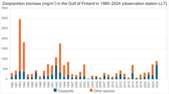 The zooplankton situation has been poor in the Gulf of Finland since the early 2000s but appears to have improved somewhat in the past year. The zooplankton biomass was analysed in surface water above the thermocline. The zooplankton group Others comprises small species, including rotifers and daphnia.