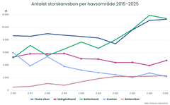 Antalet storskarvsbon per havsområde 2016–2025.