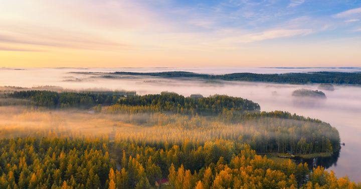 Syksyinen ja sumuinen maisemakuva, jossa näkyy metsää, rakennuksia, vesistöä ja taivasta.