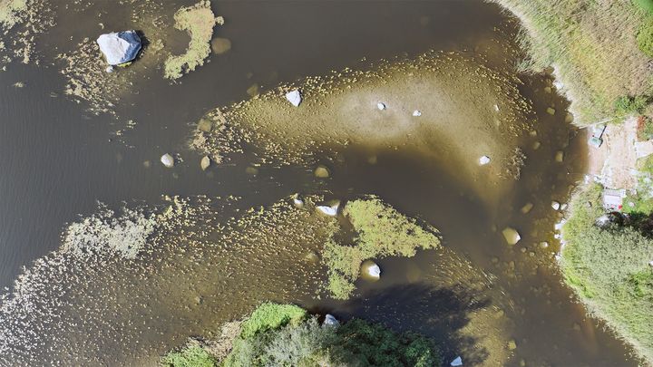 Valokuva ilmasta suoraan alaspäin virtaavan veden koskikohtaan. Kuvassa näkyy rantaa, virtaavaa vettä ja kiviä vedessä.