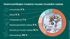Haamuverkkojen mukana nousee muutakin roskaa. Siivousten saaliista 58 % oli kalaverkkoja, 16 % muovia ja muuta roskaa, 9 % muuta kalastusperäistä roskaa, 7 % pohjaeläimiä, 6 % kalaa, 4 % linnunluita.