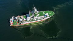 Aerial photo of research vessel Aranda shows the ships path in the midst of algae rafts.