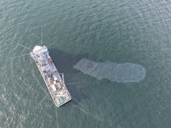 På flygbilden syns ett område i havet bredvid multifunktionsfartyget Louhi som täcks av en tunn oljefilm.