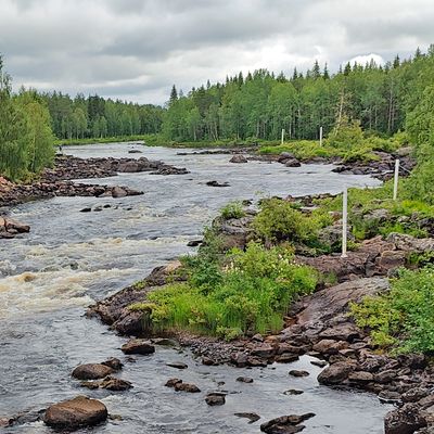 Description of the image