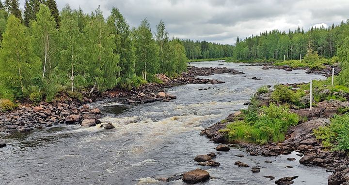 Vaattunkijoki Etelä-Lapissa vuonna 2023.