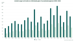 Antalet ungar och kullar av vitkindade gäss i huvudstadsregionen 2006–2026. Bild: Finlands miljöcentral.