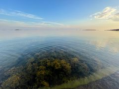Maisema rannalta, jossa veden alla näkyy vesikasvillisuutta, ja taustalla näkyy horisontti ja pilvet taivaalla.