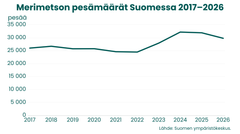 Viivagraafi merimetson pesämääristä Suomessa vuosina 2017–2026. Pesämäärä pysyi vuosina 2017–2022 noin 24 000–26 000 pesän tasolla, kasvoi voimakkaasti vuosina 2023–2024 noin 32 000 pesään ja laski vuoteen 2026 mennessä noin 29 800 pesään.
