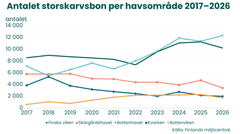 Linjediagram över antalet skarvbon per havsområde 2017–2026. Antalet bon i Bottenhavet ökade kraftigt och var störst 2026, med cirka 12 300 bon. I Finska viken minskade antalet till cirka 10 200 bon. I Skärgårdshavet, Kvarken och Bottenviken var antalen klart lägre.