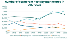 Line graph showing the number of cormorant nests by sea area from 2017 to 2026. The number of nests in the Bothnian Sea increased sharply and was the highest in 2026, at approximately 12,300. In the Gulf of Finland, the number declined to approximately 10,200. Numbers were clearly lower in the Archipelago Sea, Kvarken and the Bothnian Bay.