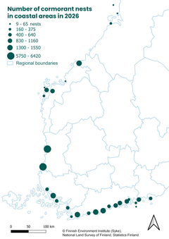 Map showing the number of cormorant nests along the Finnish coast in 2026. Nest numbers are shown by circles of different sizes. The largest concentrations are on the west coast around Rauma and Pori and along the Gulf of Finland, with smaller breeding concentrations along the coast as far north as the Bothnian Bay.