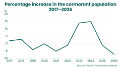 Line graph showing the annual percentage change in Finland’s cormorant population from 2017 to 2026. The change ranged from moderate increases and decreases to strong growth in 2023 and 2024. In 2026, the population decreased by approximately seven per cent from the previous year.